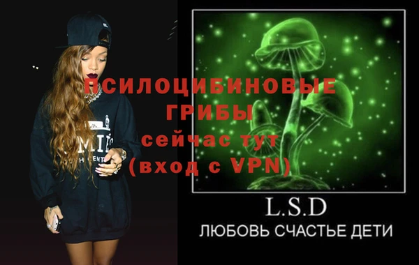 СК Липки